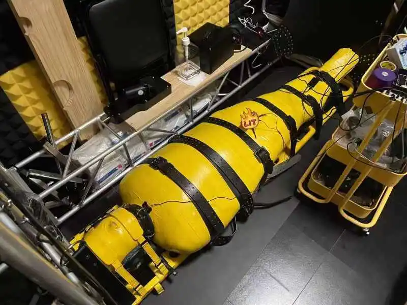 K9犬系揭秘：你了解它背后的魅力与激情吗？ 一