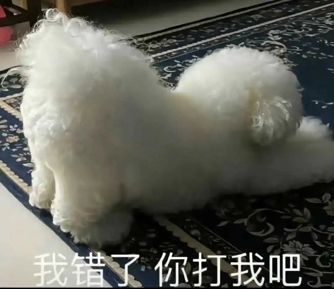 “字母圈入圈”后，为什么“那些人”会感受到无法抵挡的吸引力？ 一