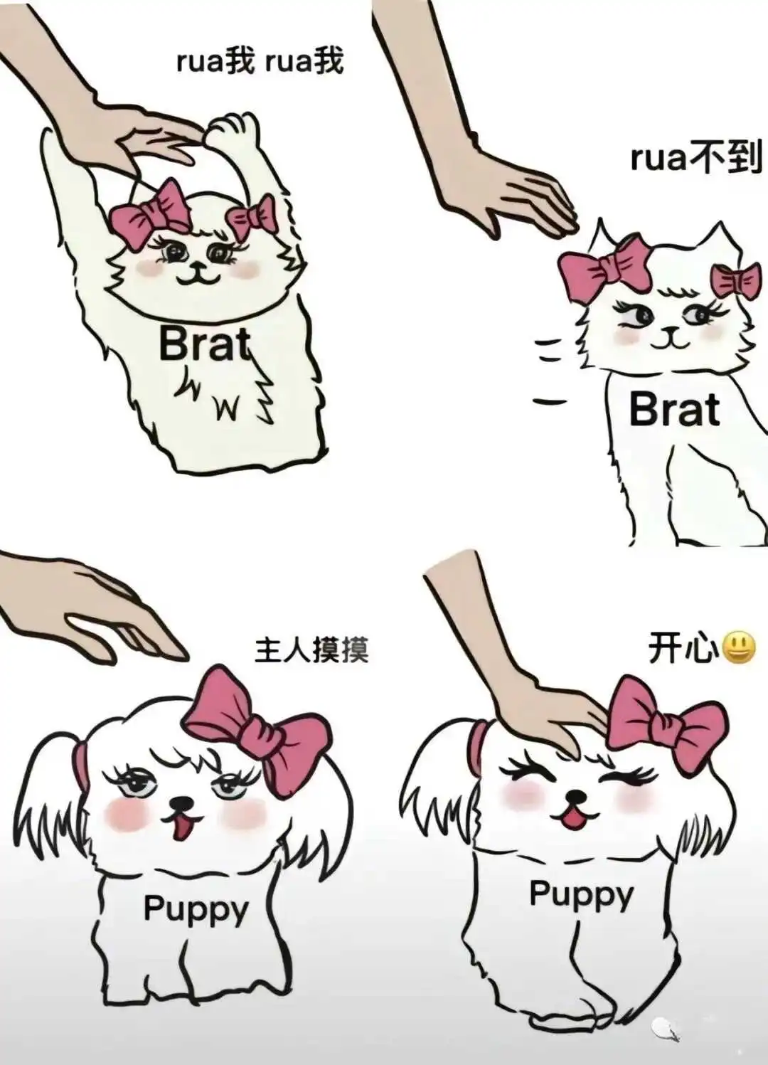 “K9犬系”小白入圈必看指南 一