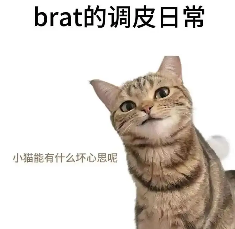 “ddlg是什么？”带你走进甜蜜又刺激的双重角色世界 一