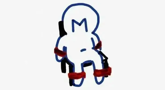 你不知道的s属性:一个内心的秘密世界 一