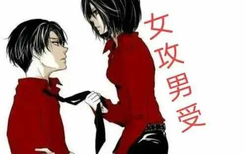 “dom”在情感网络中意味着什么？ 一