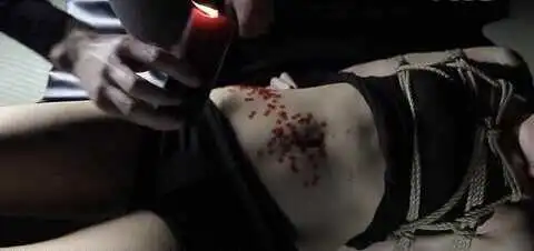 s倾向是什么?你可能不知道的深层含义与体验解析 一