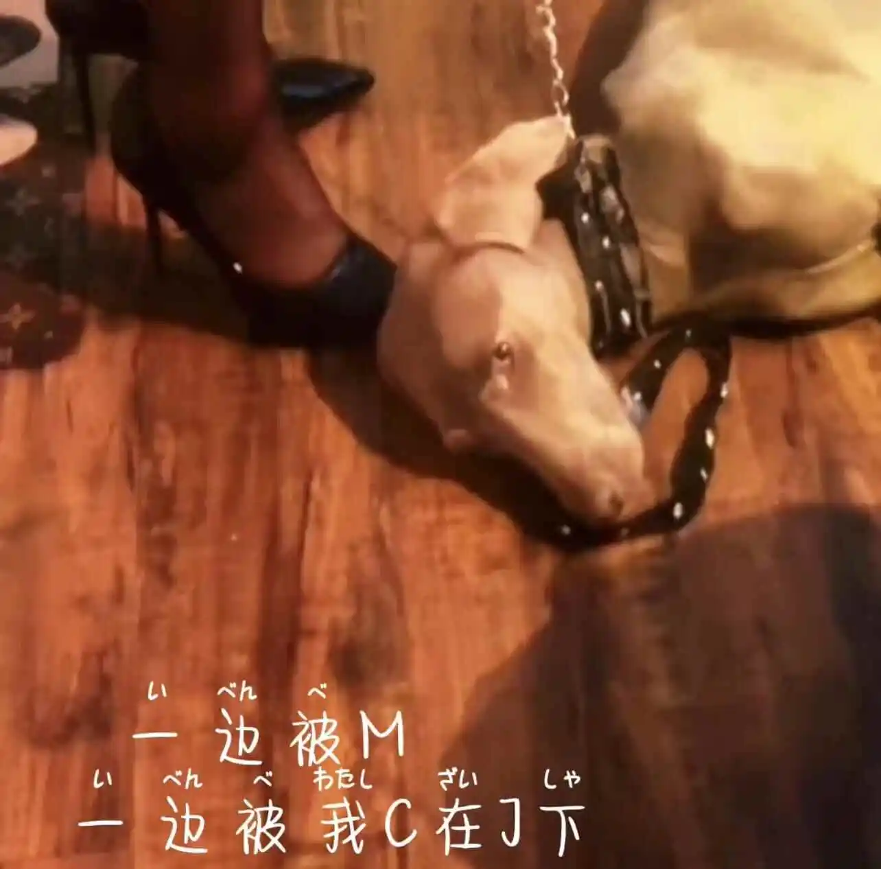 西檬之家字母圈新人如何避坑？ 一