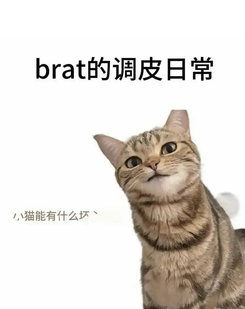 西檬之家BDSM入圈新手必读 一