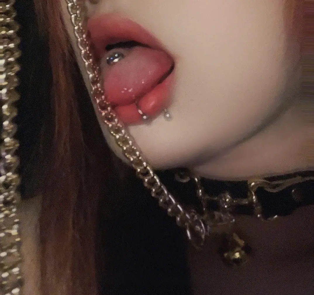 西檬之家k8猫系是什么？ 一