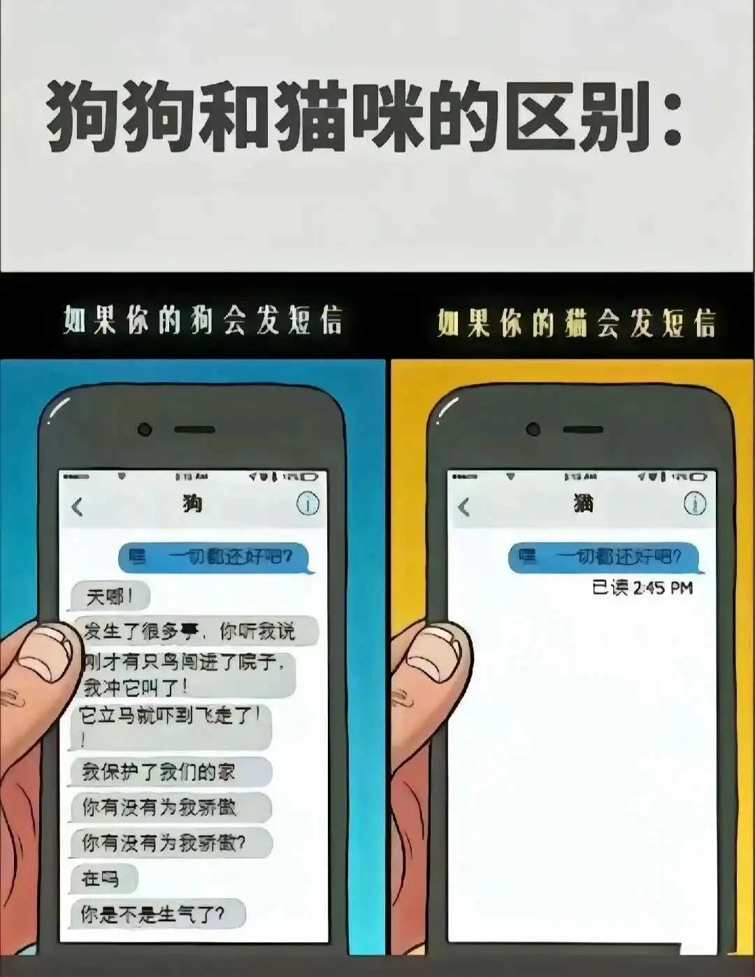 西檬之家字母圈Dom是什么？ 一