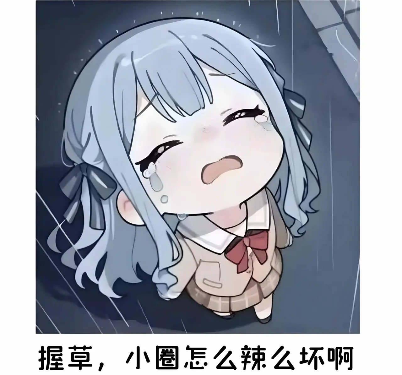 西檬之家sub是什么？字母圈新人入圈 一
